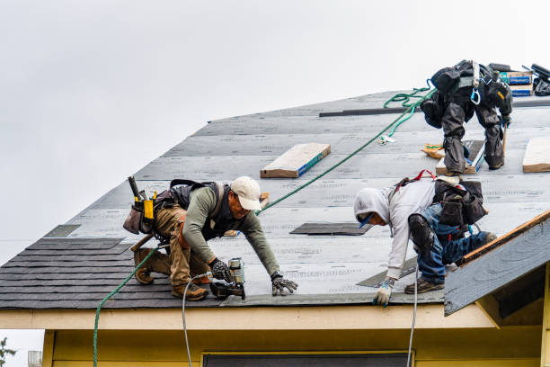 Professional Roofing technician working in Lisle, NY
